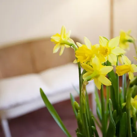 Apartamento Citiesreference - Colosseo Two Bedroom